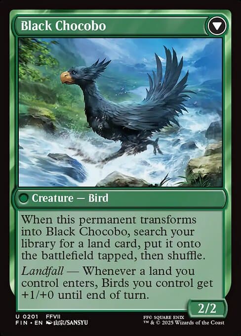 Sidequest: Raise a Chocobo // Black Chocobo