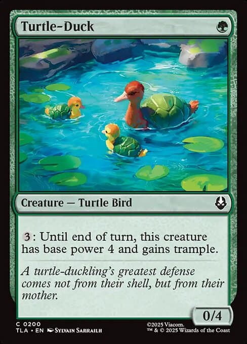 Turtle-Duck